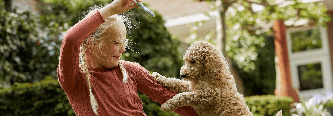 Honden en kinderen